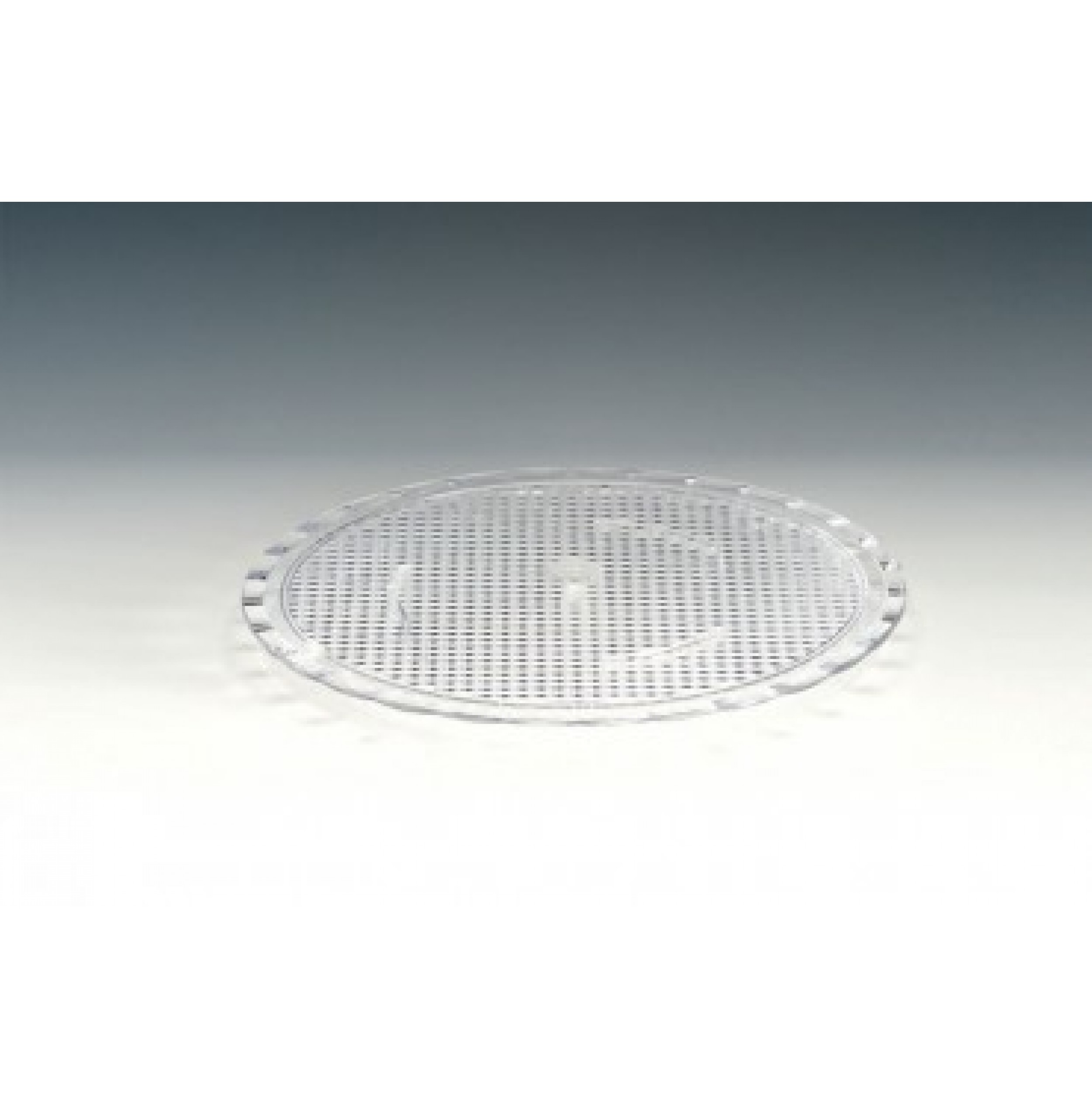 POLİKARBONAT PASTA ALTLIĞI 23 Cm